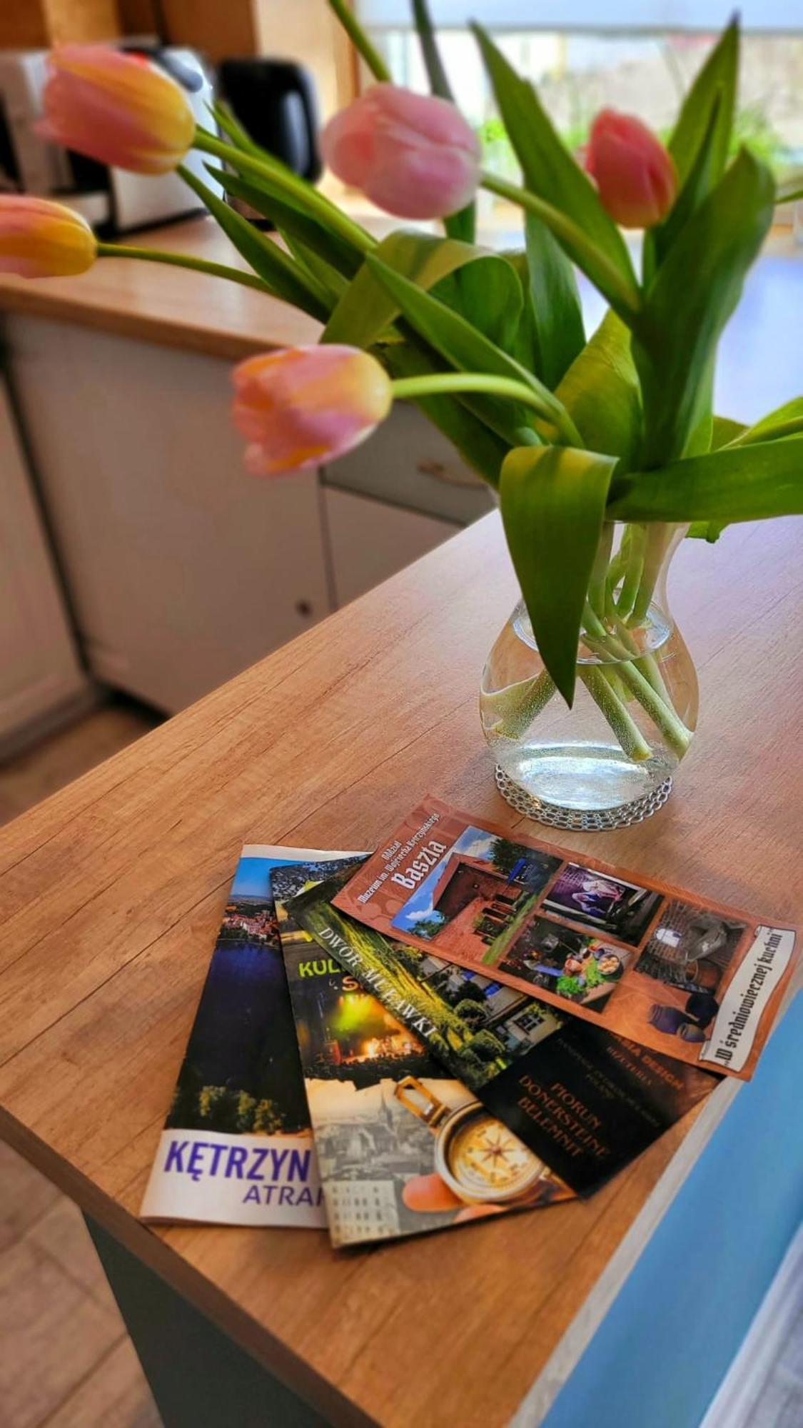 Apartament "Przy Jeziorku" Ketrzyn Bagian luar foto